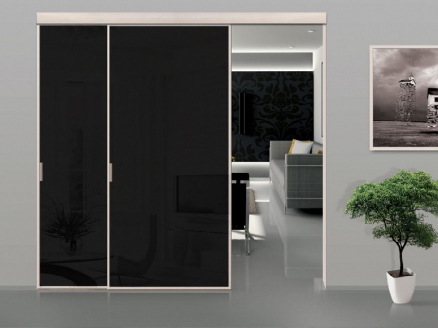 Стеклянная дверь. Стеклянные двери межкомнатные. Стеклянная дверь черного цвета. Раздвижные стеклянные двери. Черная стеклянная дверь.