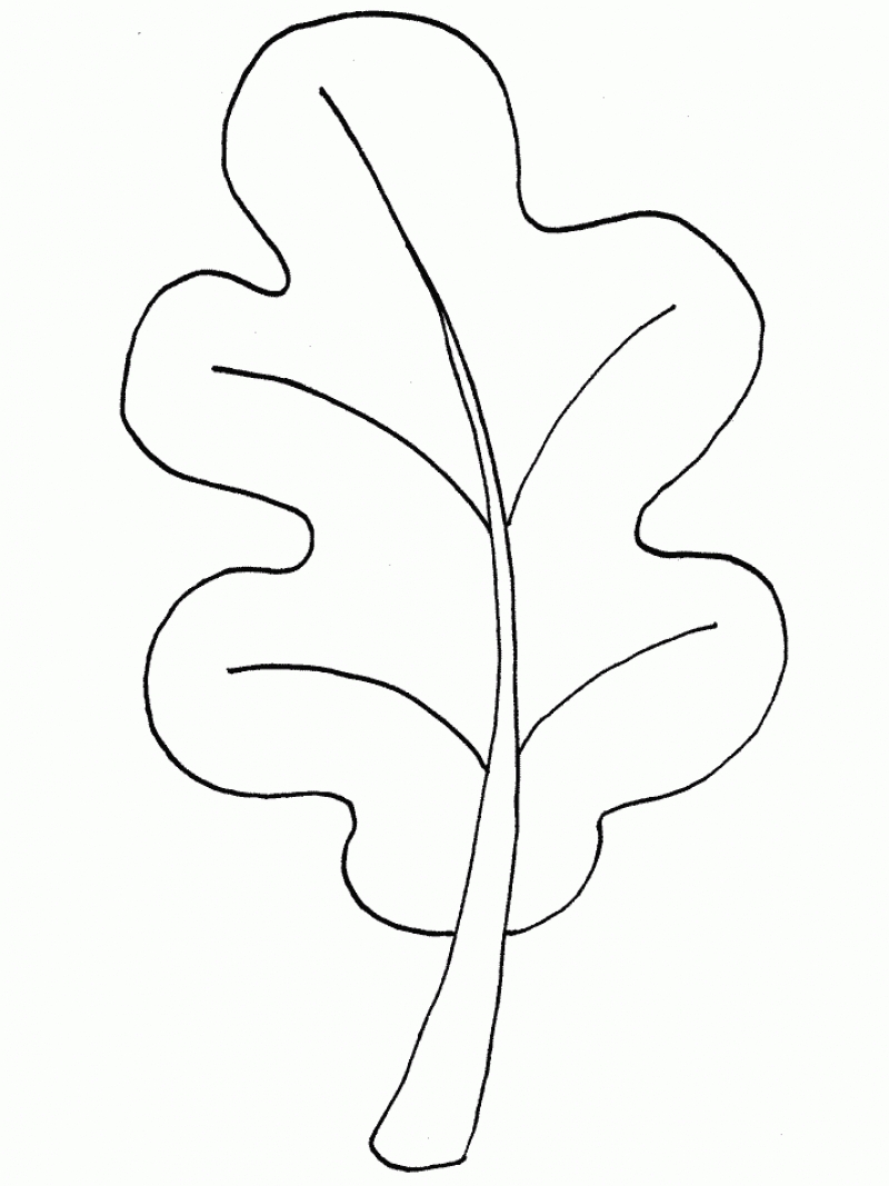 Лист дуба раскраска для детей