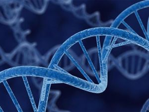 Родовая память предков и ДНК 