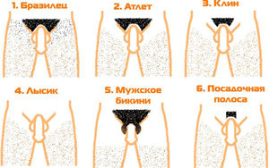 Интимные мужские стрижки - фото на ecomamochka.ru | Интимная стрижка, Мужские стрижки, Стрижка