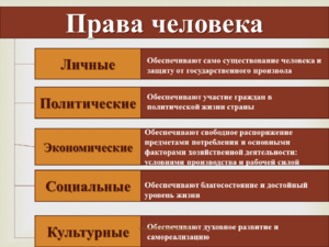 Проект основной закон россии и права человека
