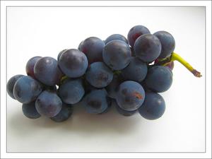 Виноград изабелла - описание 