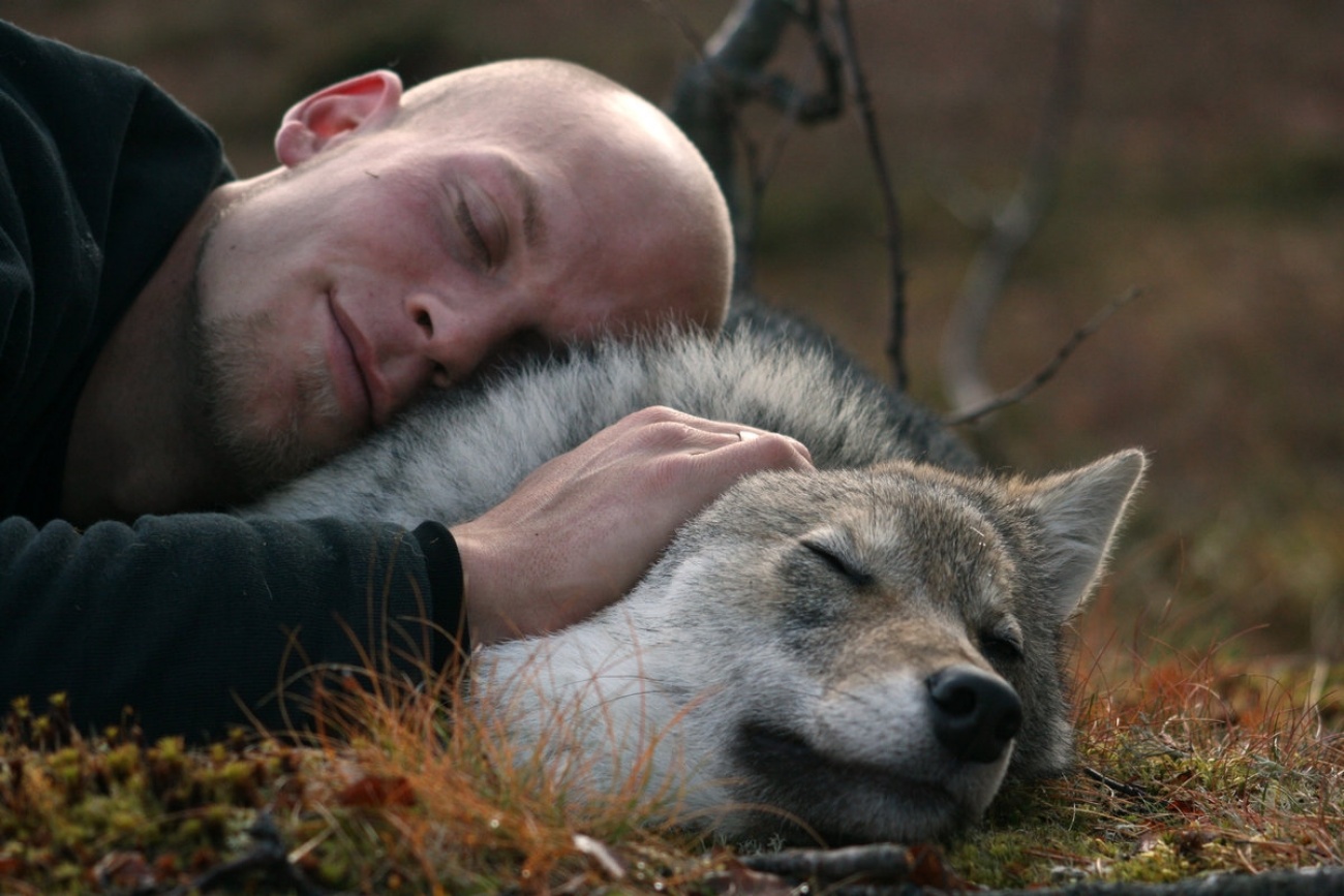 Мальчик воспитанный волками на русском. Человек и дикий зверь. Обнимает волка. Мужик обнимает волка.